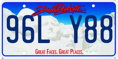 SD license plate 96LY88