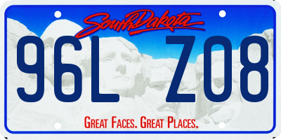 SD license plate 96LZ08