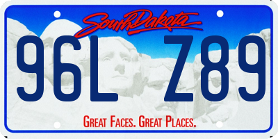 SD license plate 96LZ89