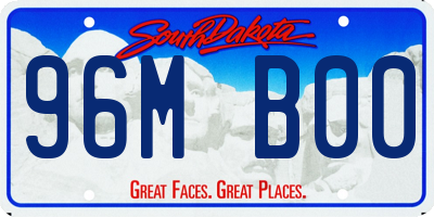 SD license plate 96MB00