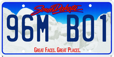 SD license plate 96MB01