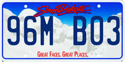 SD license plate 96MB03