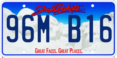 SD license plate 96MB16