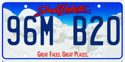 SD license plate 96MB20