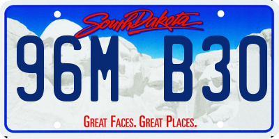 SD license plate 96MB30