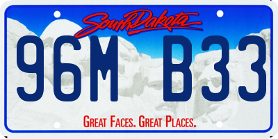 SD license plate 96MB33