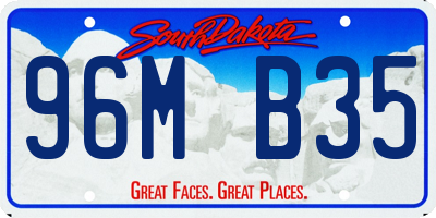 SD license plate 96MB35