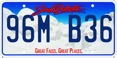 SD license plate 96MB36
