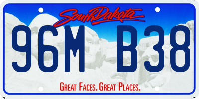 SD license plate 96MB38