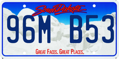 SD license plate 96MB53