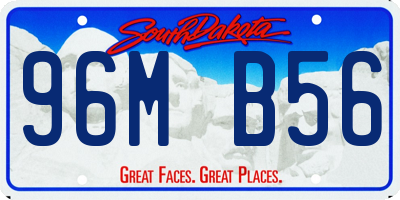 SD license plate 96MB56