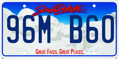 SD license plate 96MB60
