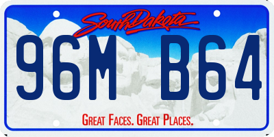 SD license plate 96MB64