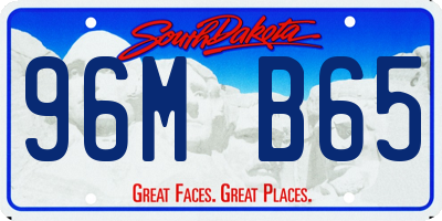 SD license plate 96MB65