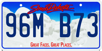 SD license plate 96MB73