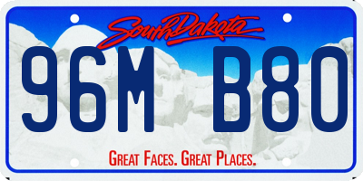 SD license plate 96MB80