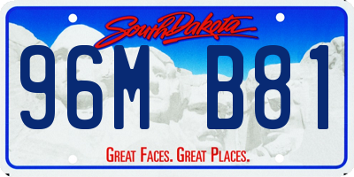 SD license plate 96MB81