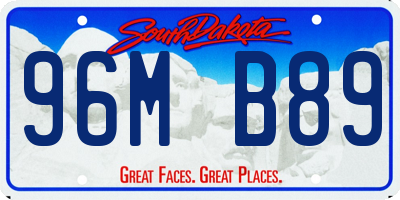 SD license plate 96MB89