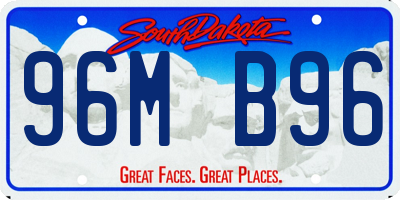 SD license plate 96MB96