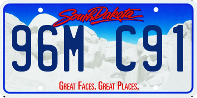 SD license plate 96MC91