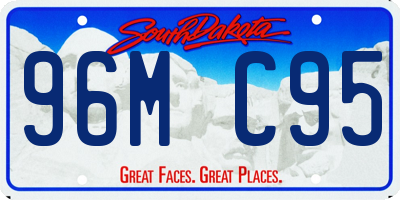 SD license plate 96MC95
