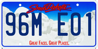 SD license plate 96ME01