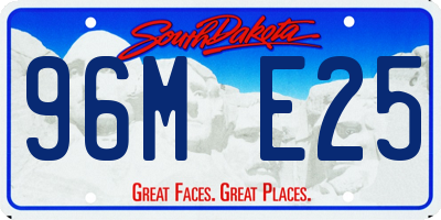 SD license plate 96ME25