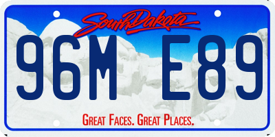 SD license plate 96ME89