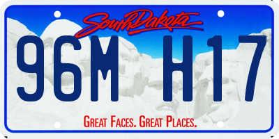 SD license plate 96MH17