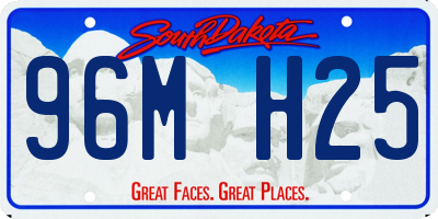 SD license plate 96MH25