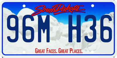 SD license plate 96MH36