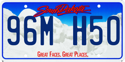 SD license plate 96MH50