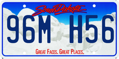 SD license plate 96MH56