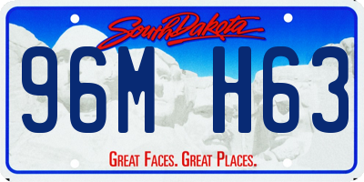 SD license plate 96MH63