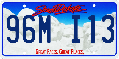 SD license plate 96MI13