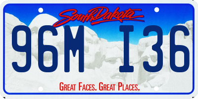 SD license plate 96MI36