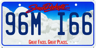 SD license plate 96MI66