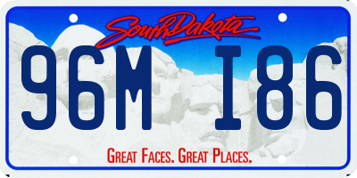SD license plate 96MI86