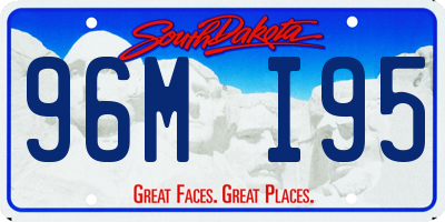 SD license plate 96MI95