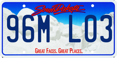 SD license plate 96ML03