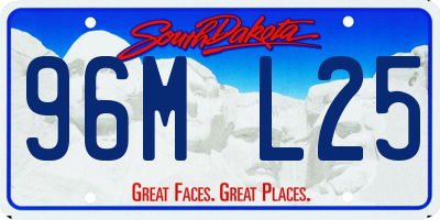 SD license plate 96ML25
