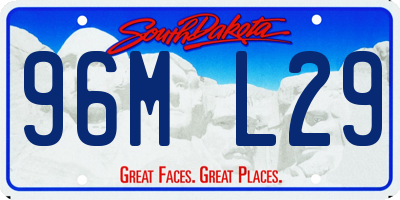 SD license plate 96ML29