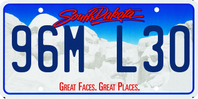 SD license plate 96ML30