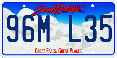 SD license plate 96ML35