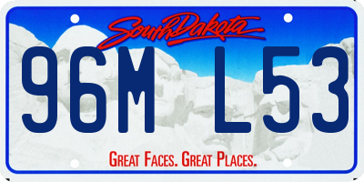 SD license plate 96ML53