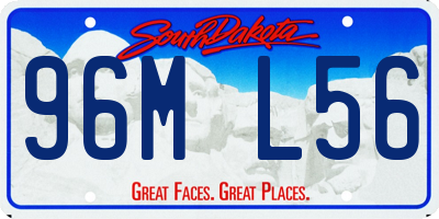 SD license plate 96ML56