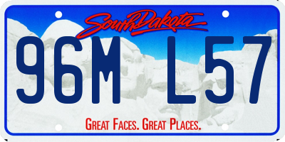 SD license plate 96ML57