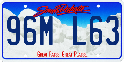 SD license plate 96ML63
