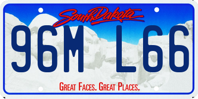 SD license plate 96ML66