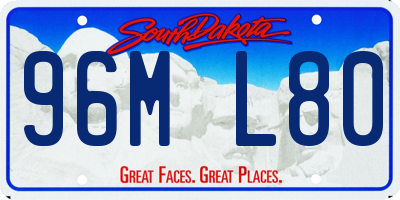 SD license plate 96ML80